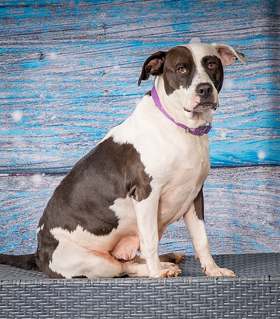 Foster Lucette-3212