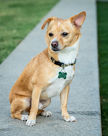 Foster Paddy-9958