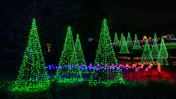 Christmas-2766