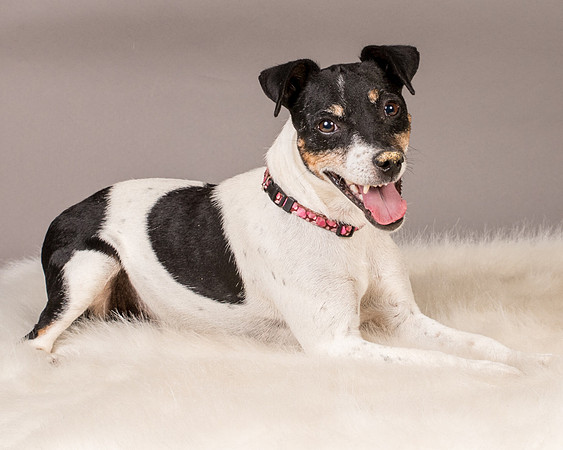 Foster Pollyanna-3891
