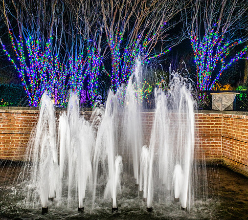 Christmas-2925