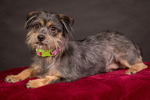 Foster Nadine-9587