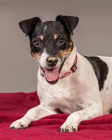Foster Pollyanna-3848