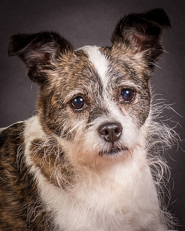 Foster Sinclair-9734