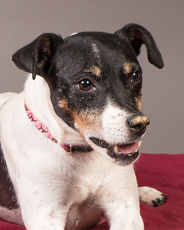 Foster Pollyanna-3822