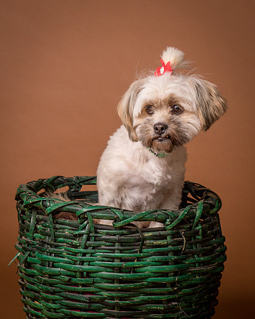 Foster Frida-9780