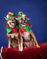 Spivey-Presley and Paige-7592