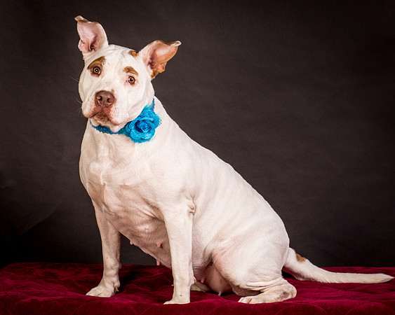Foster Joanie-0450