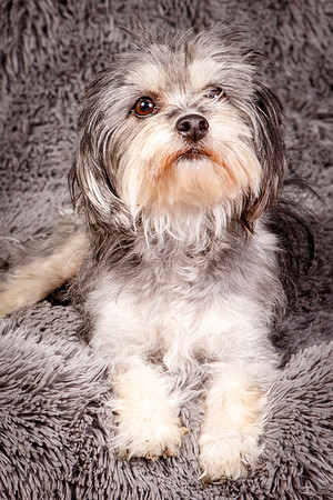 Foster Alex-6236