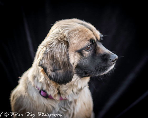 Foster Trudy-16