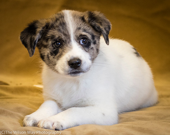 Foster Mira Jane-0364