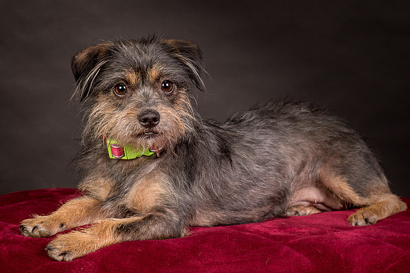 Foster Nadine-9606