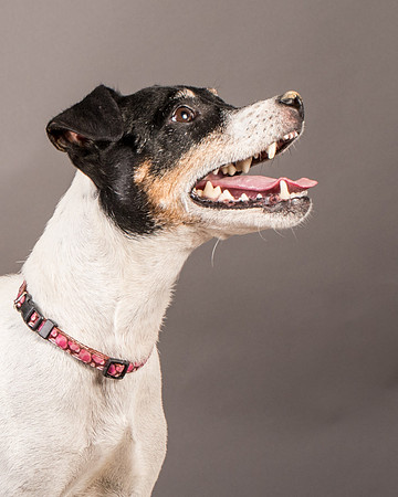 Foster Pollyanna-3935