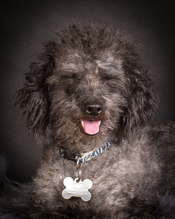 Foster Mokey-1358