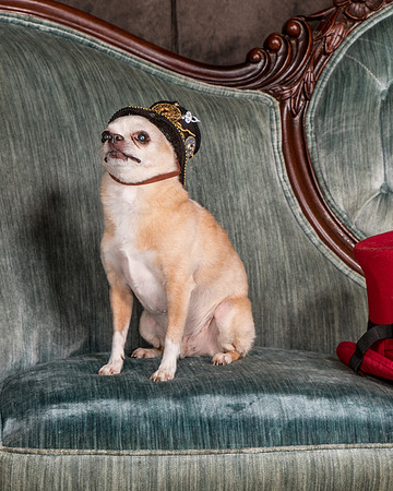 Waggoner-1803