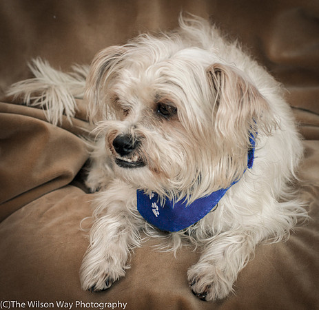 Foster Ricky-9059