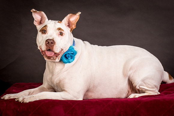 Foster Joanie-0474