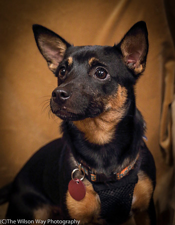 Foster Joni-0714