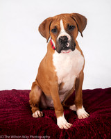 Foster Lenny-3015