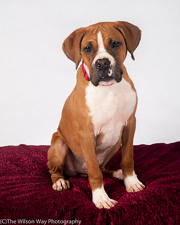 Foster Lenny-3015