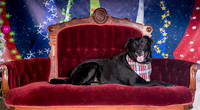 Foster Beatrice-3979