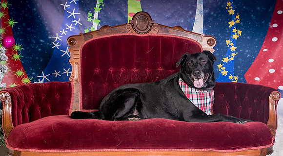 Foster Beatrice-3979
