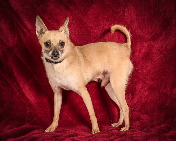 Foster Kiwi-8342