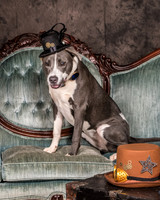 Foster Juliana-8051