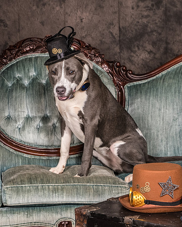 Foster Juliana-8051