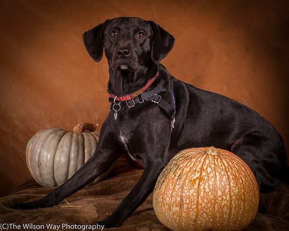Foster Charles-5158