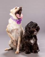 Maggie and Henry-7174