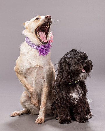 Maggie and Henry-7174