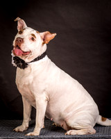 Foster Joanie-0428