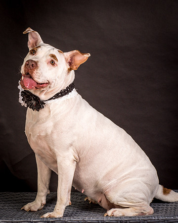 Foster Joanie-0428
