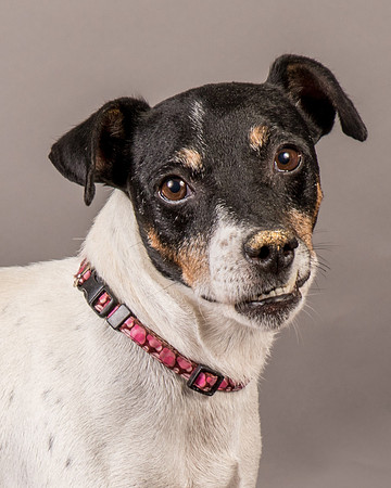 Foster Pollyanna-3995