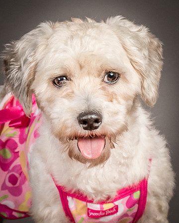 Foster Everly-2263
