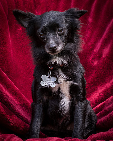 Foster Julio-8454