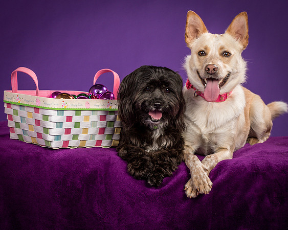 Henry and Maggie-1330
