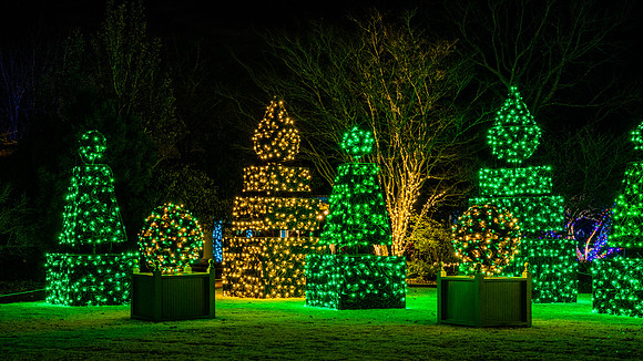Christmas-2932