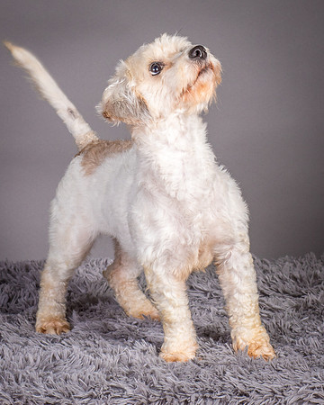Foster Everly-2295