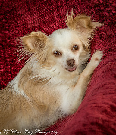 Foster Sam-4117