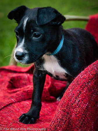 Foster Blythe-3952