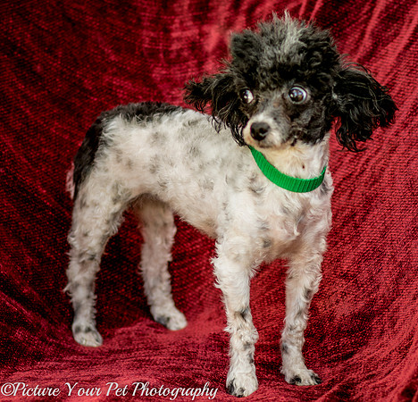 Foster Lillian-2962