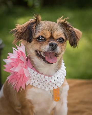 Foster Missy-0556
