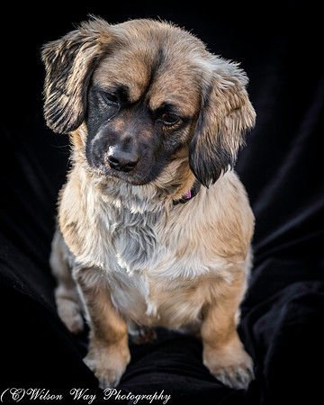 Foster Trudy-24