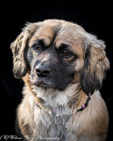 Foster Trudy-21