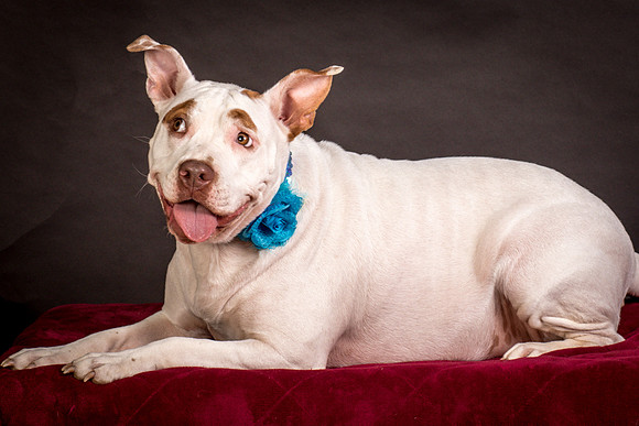 Foster Joanie-0484