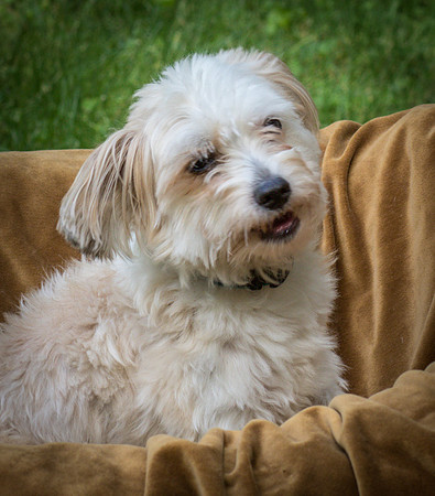 Foster Ricardo-8720