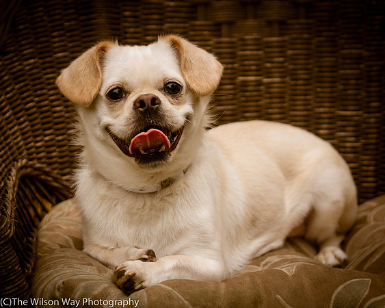 Foster Bonnie-3010