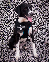 GCSPCA - Black Dog Event - Oct. 5, 2013